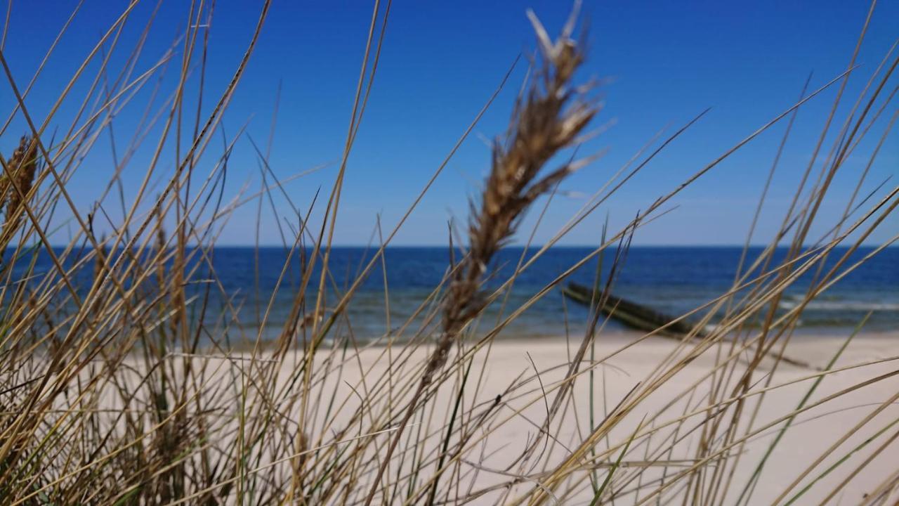 Duneshellter Rogowo Rogowo  Exteriér fotografie