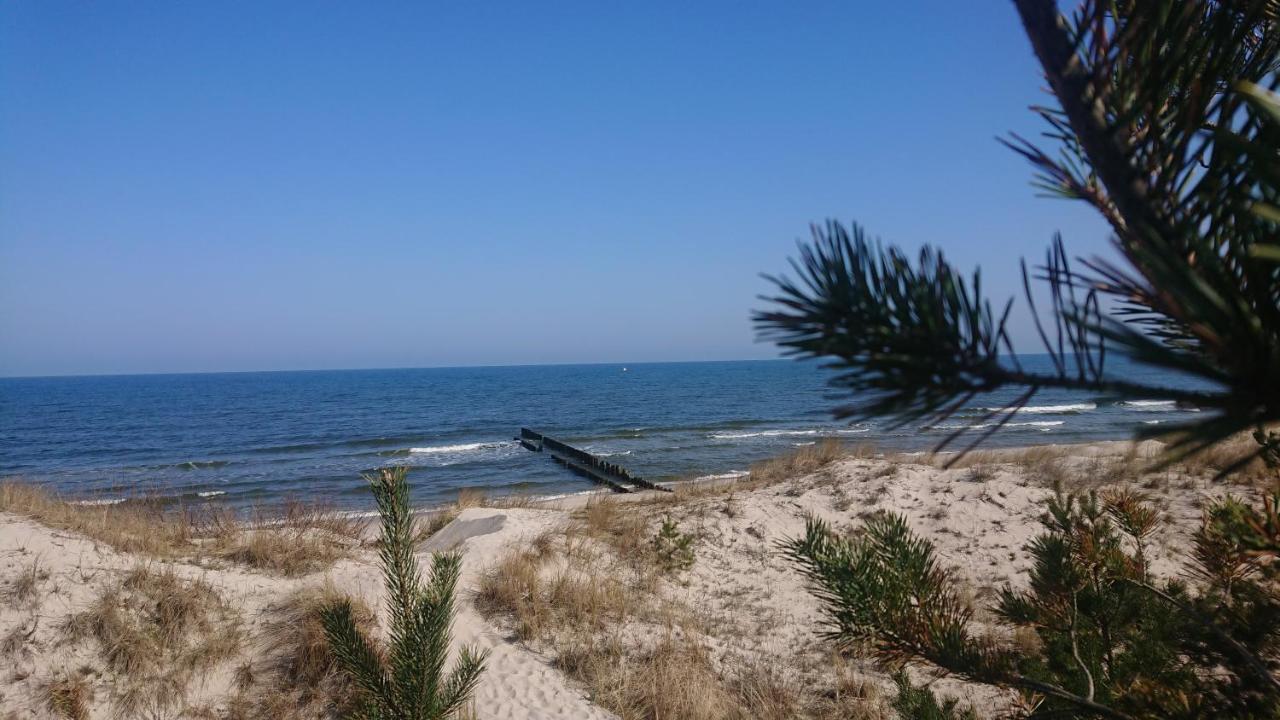 Duneshellter Rogowo Rogowo  Exteriér fotografie